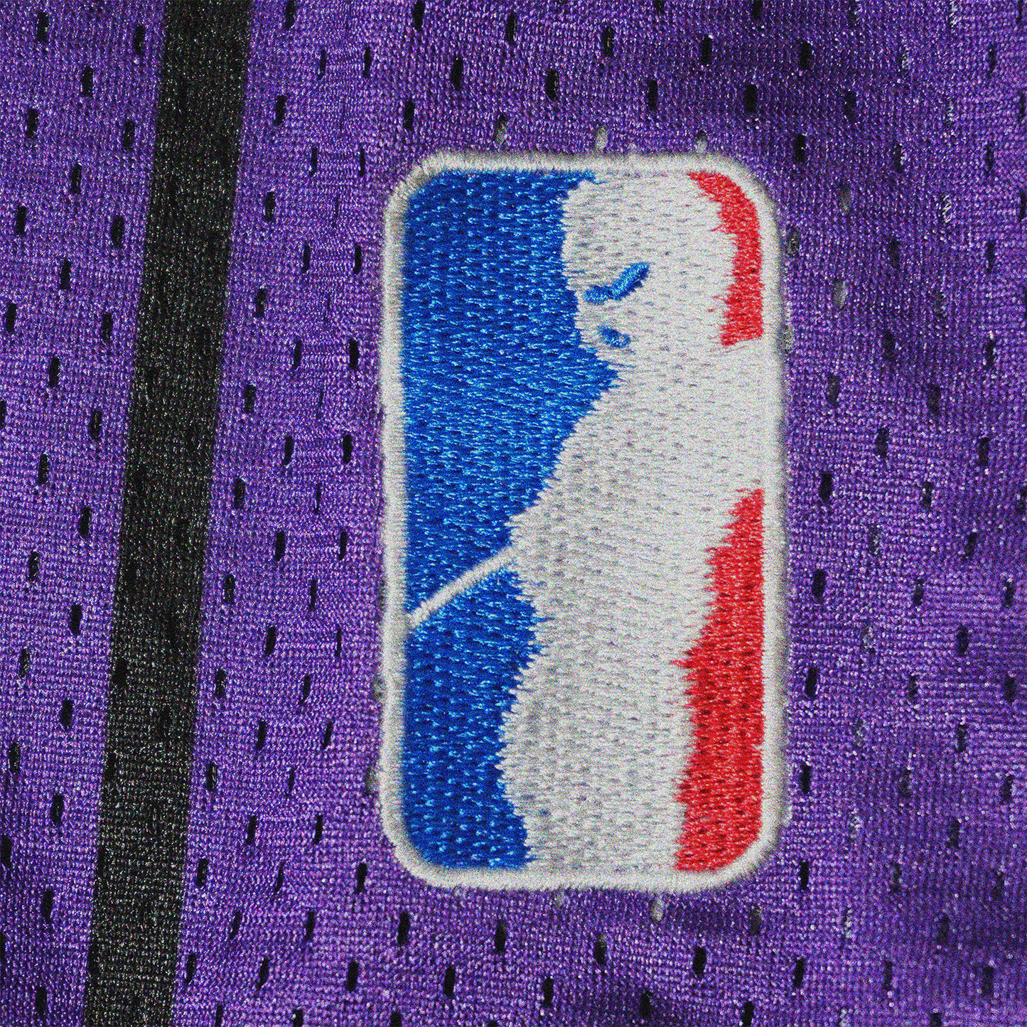 TORONTO RAPTORS BASKETBALL PANTS