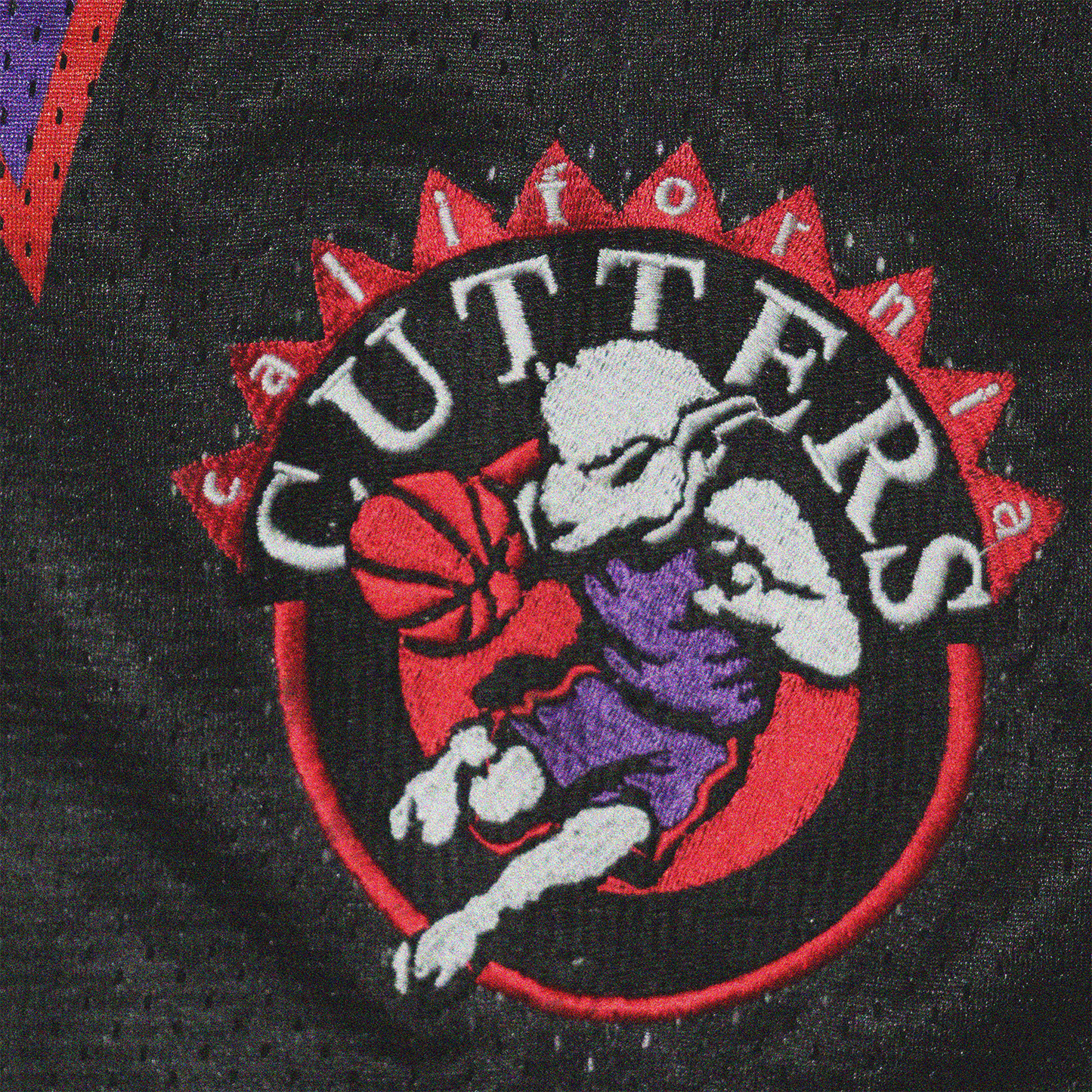 TORONTO RAPTORS BASKETBALL PANTS