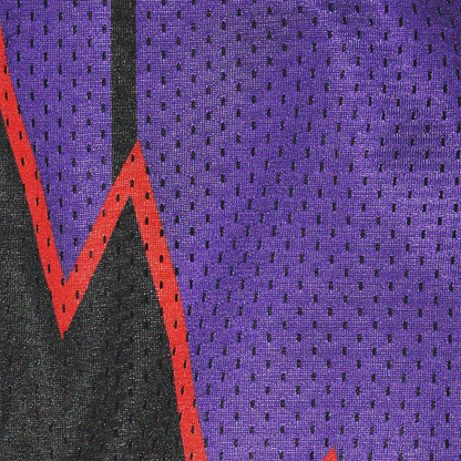 TORONTO RAPTORS BASKETBALL PANTS